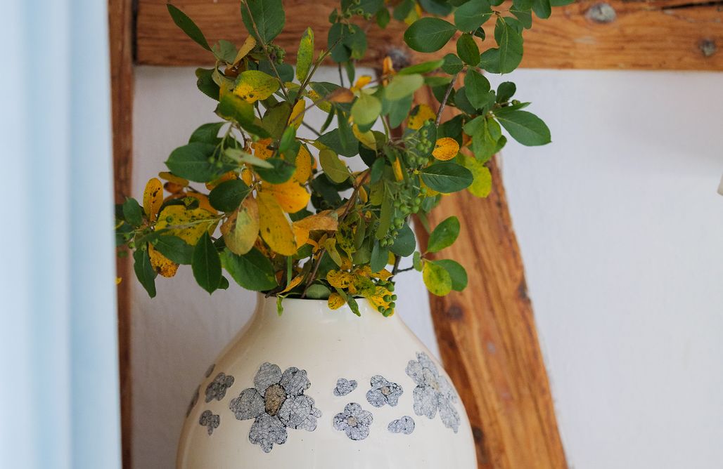 AlohaCamp Apartament „Słoneczny” 1