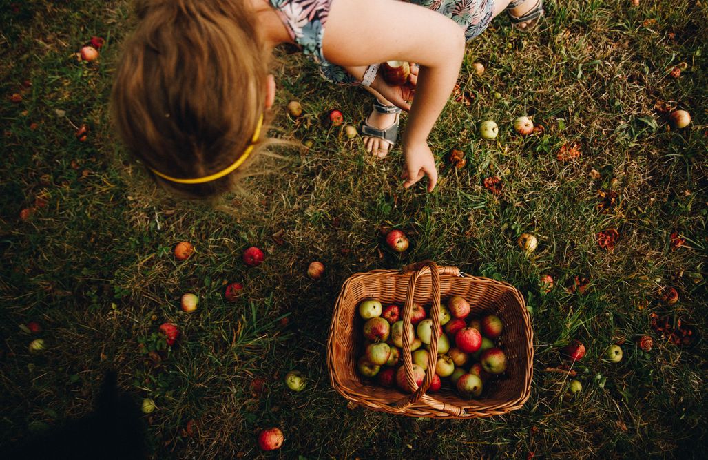 AlohaCamp Apartament 1 1