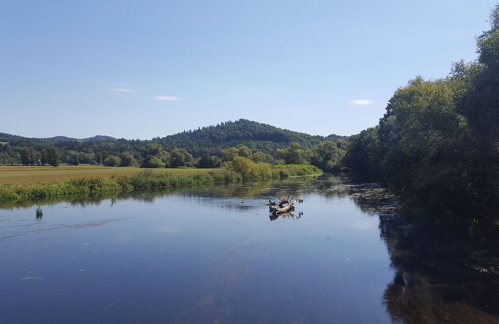 noclegi AlohaCamp Miejsce kamperowe - Kuźnia pod bobrem  3