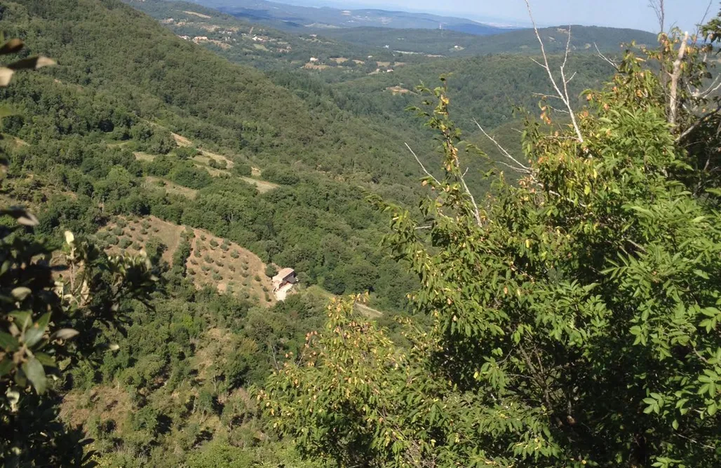 Hébergement AlohaCamp Fienile Vignanova 1