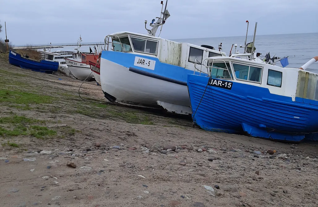 noclegi AlohaCamp Domki Pod Sosnami  1