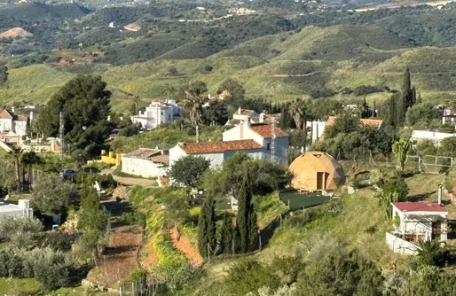 Imagen de Bosque Raíces