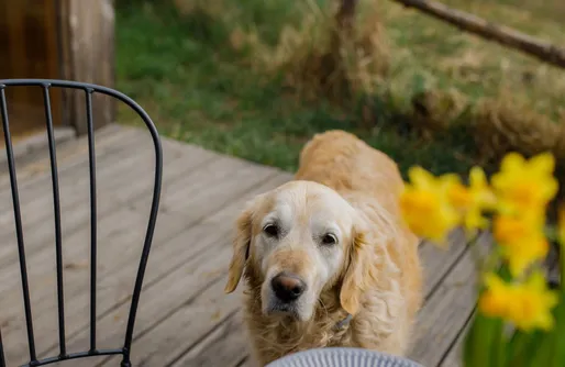 Zdjęcie obiektu UkryjSię