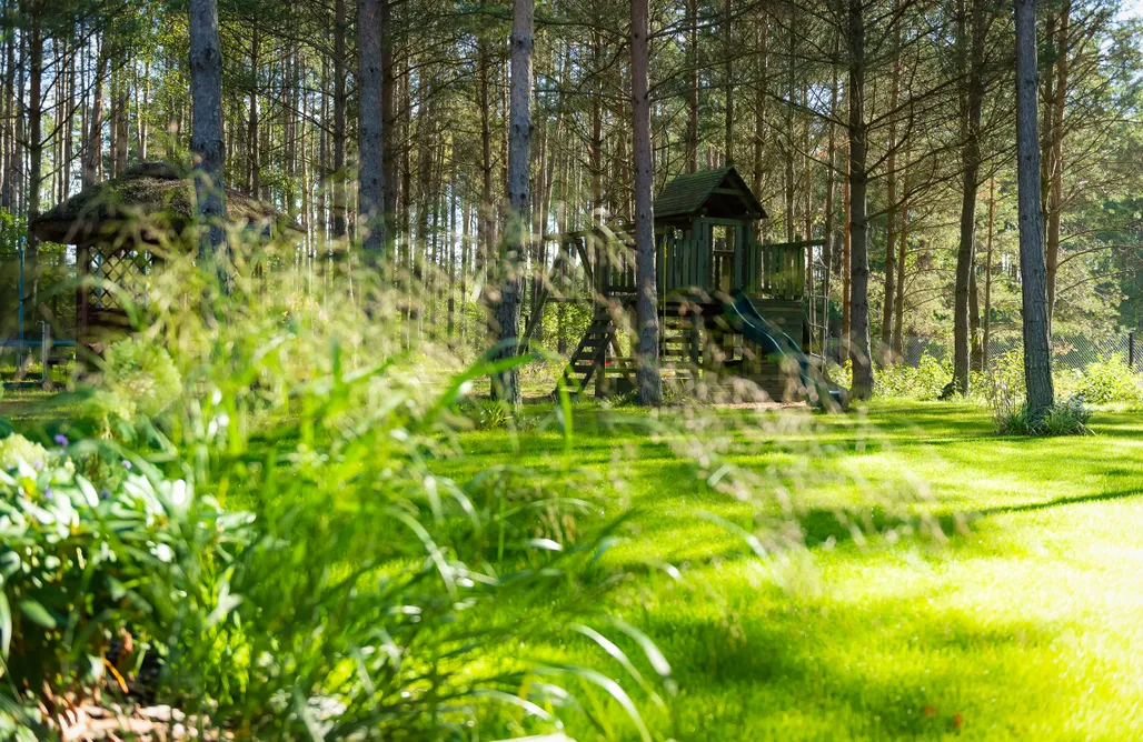 Willa Leśna Strzecha AlohaCamp