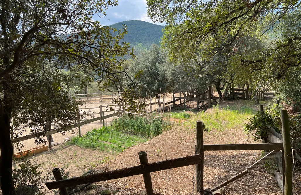 alojamientos AlohaCamp Can Maimes 1