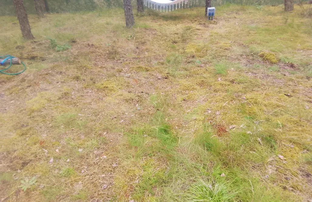 AlohaCamp Miejsce namiot  1