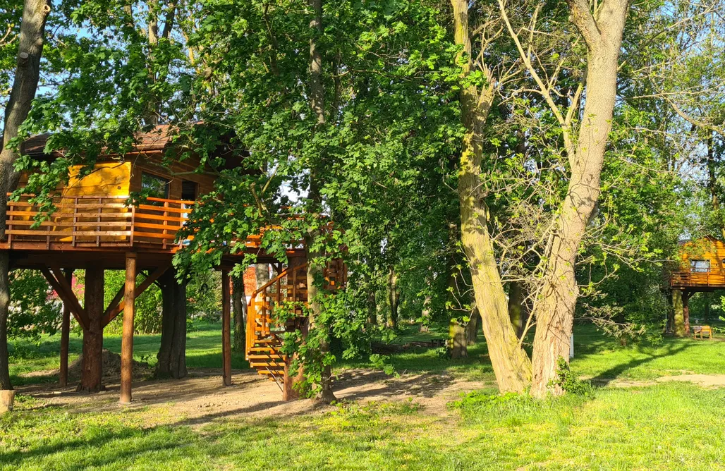 AlohaCamp Kasztan - domek na drzewie 1