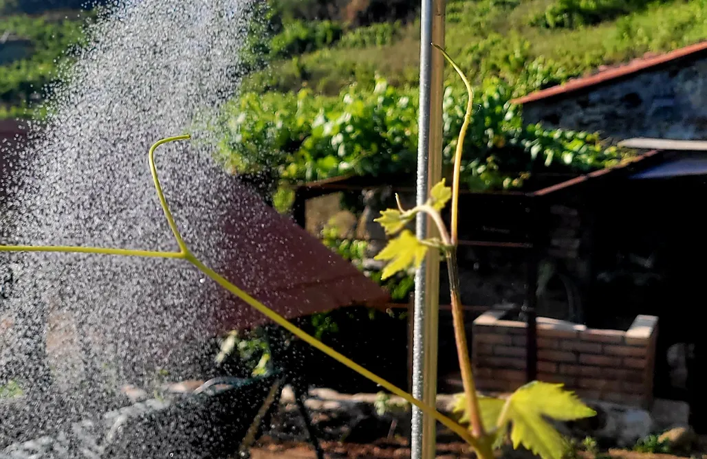 noclegi AlohaCamp Cabaña do rei  1