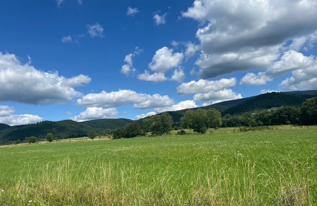 AlohaCamp Domek drewniany całoroczny 1