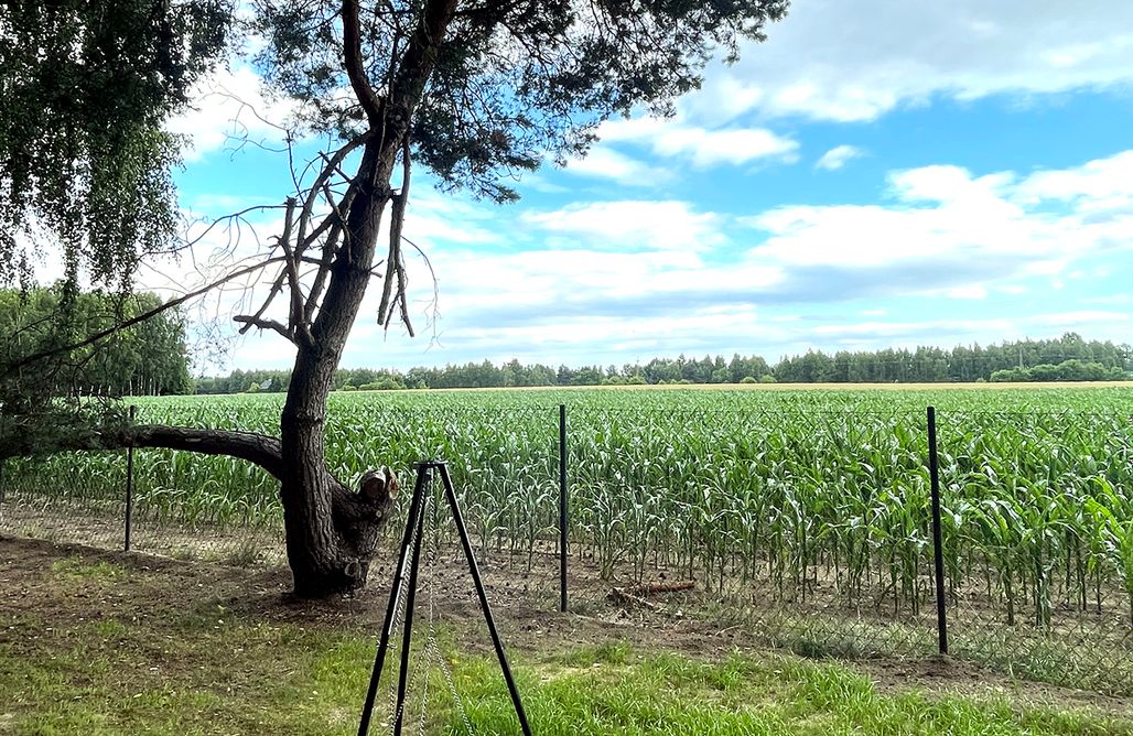 Anastazewo noclegi Dom.Las & Bus - wyjątkowy nocleg w amerykańskim autobusie 1