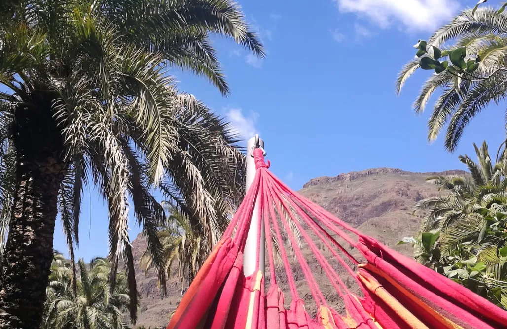 noclegi AlohaCamp Tiny House Antonio 5