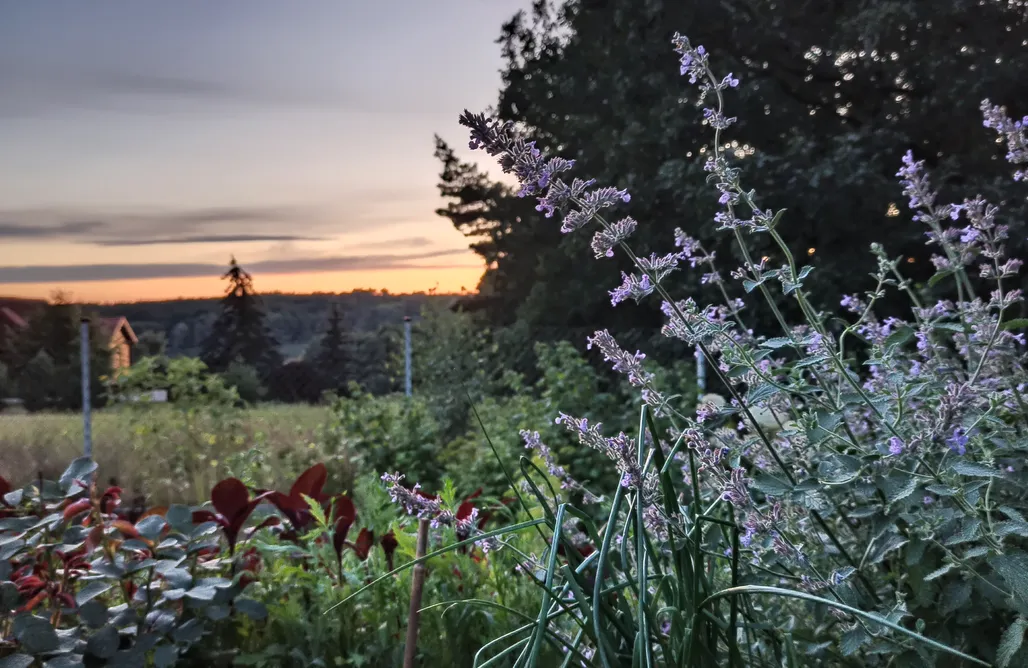 hebergement AlohaCamp Cicho-Ciszej Dom całoroczny 7-osobowy 1