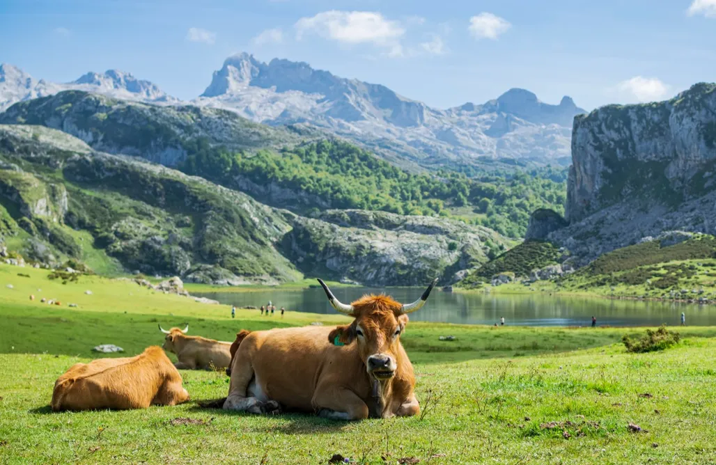 Alojamiento Arriondas El Blao 3