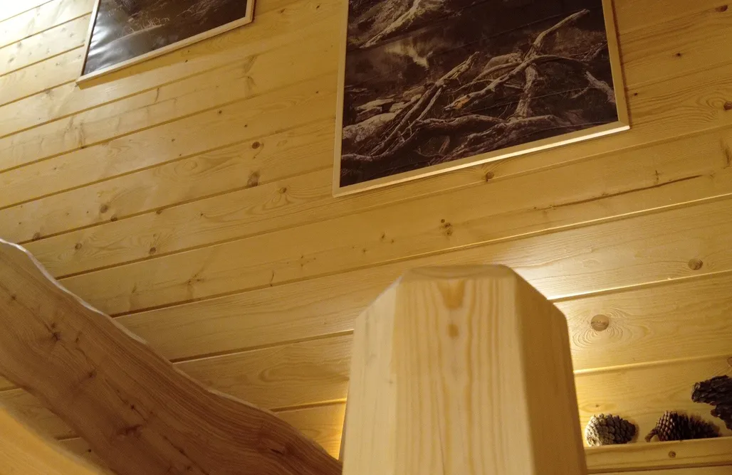 AlohaCamp Dom Szmaragdowy 1