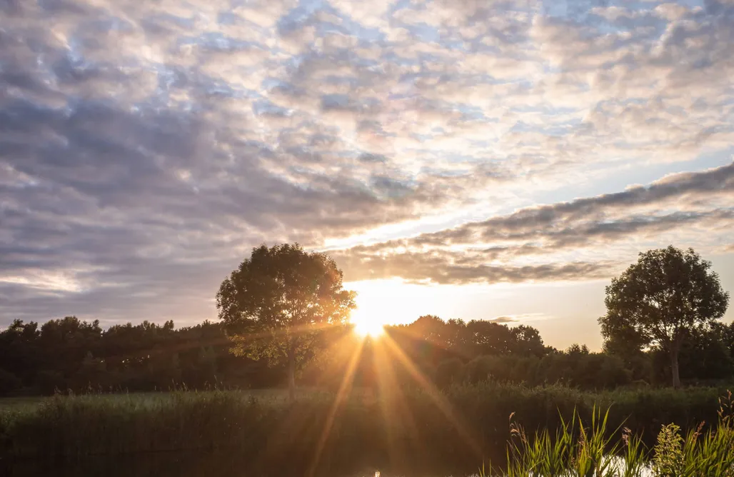 Tiny House Frida AlohaCamp
