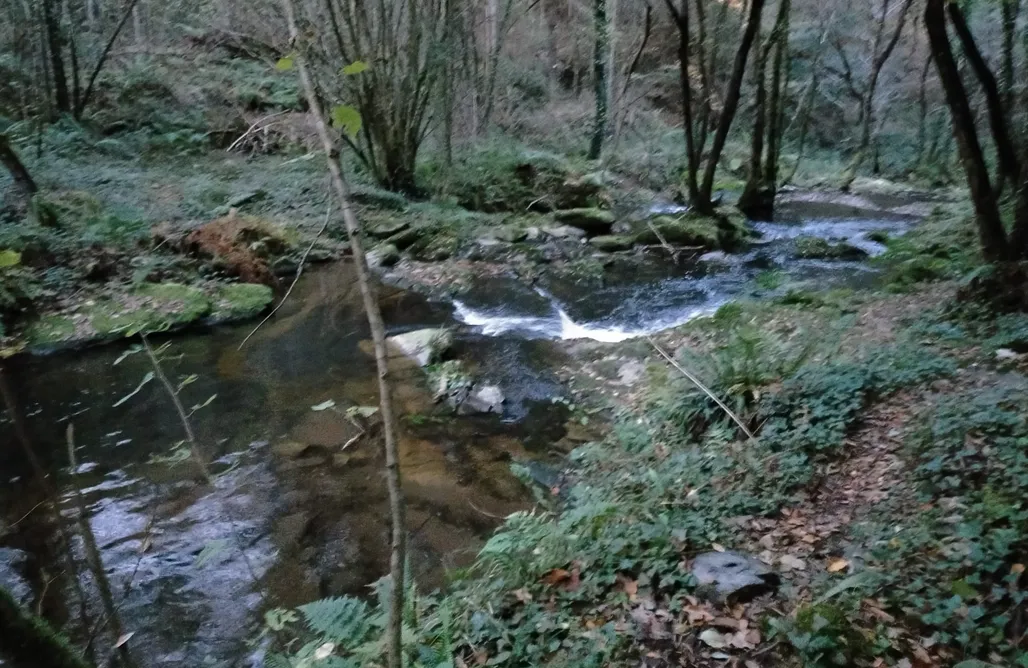 Camping En Cantabria CASECHA  1