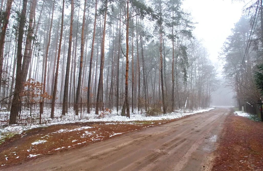 AlohaCamp accommodation Dom Leniwiec z jacuzzi i kominkiem 1