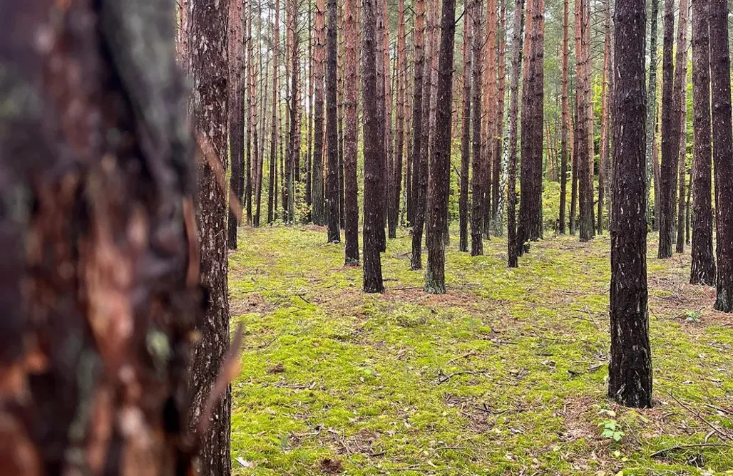 noclegi AlohaCamp Gawra House 1