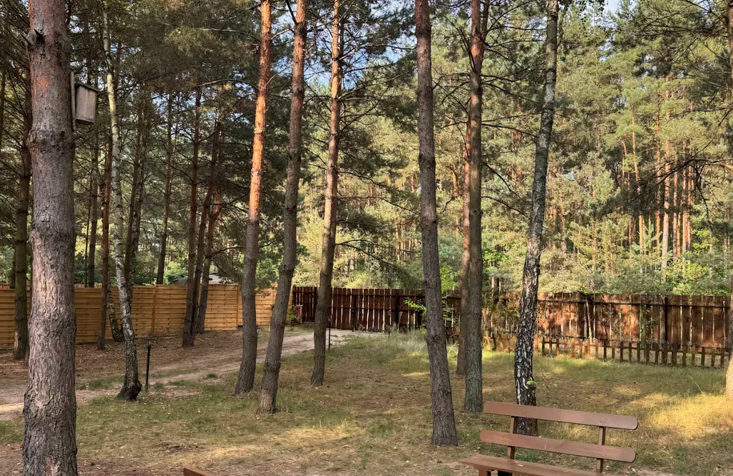 hebergement AlohaCamp Leśna Chata

 5