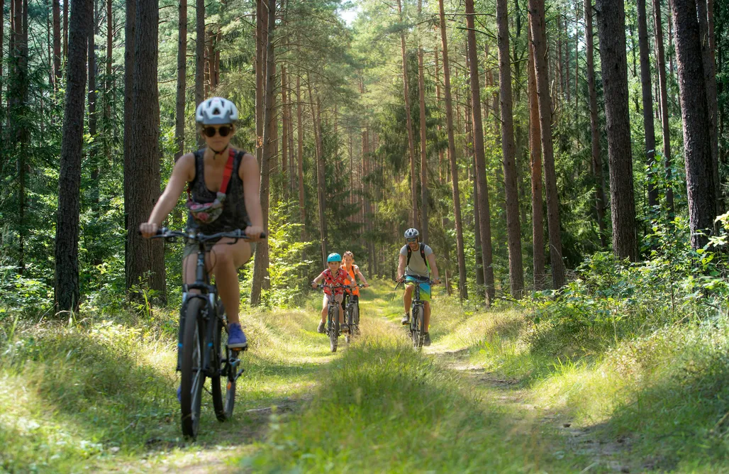 AlohaCamp Domek II linia 1