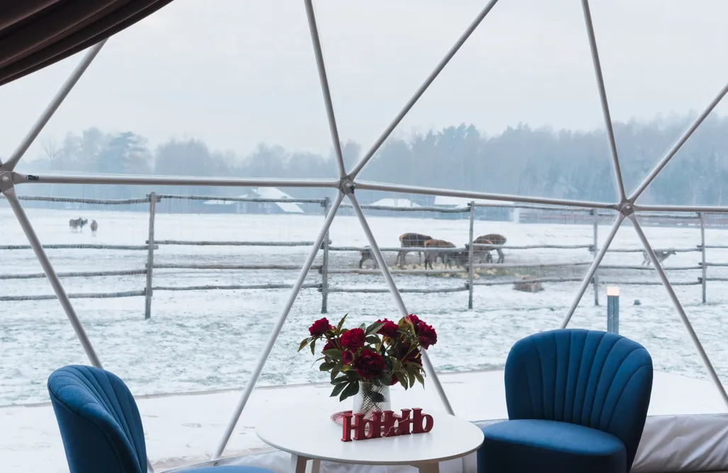 AlohaCamp Glamp ORIENT 4