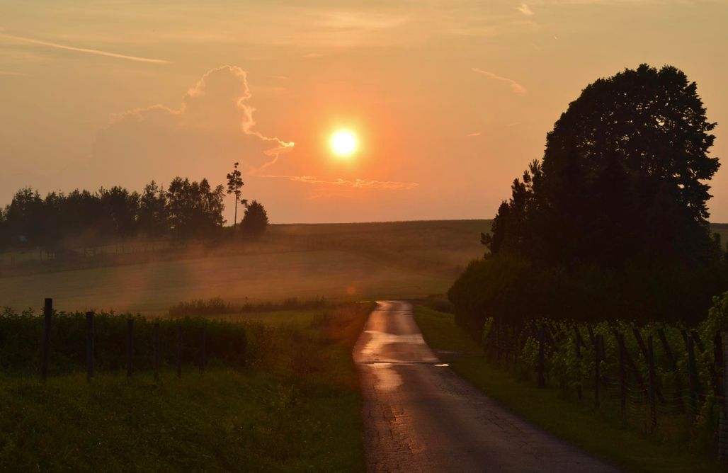 Camping Kraków Miejsce kamperowe i namiotowe - JBM Winnica Bugaj 3