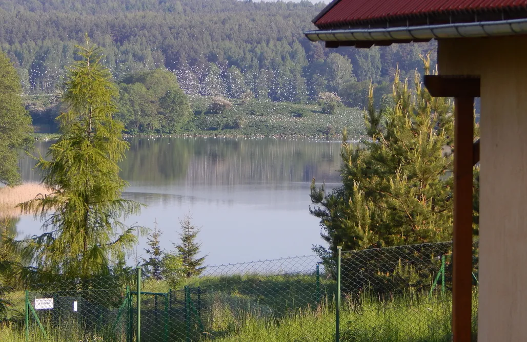 Unterkunft AlohaCamp Domki z Pięknym Widokiem na Jezioro Ryńskie 73 5