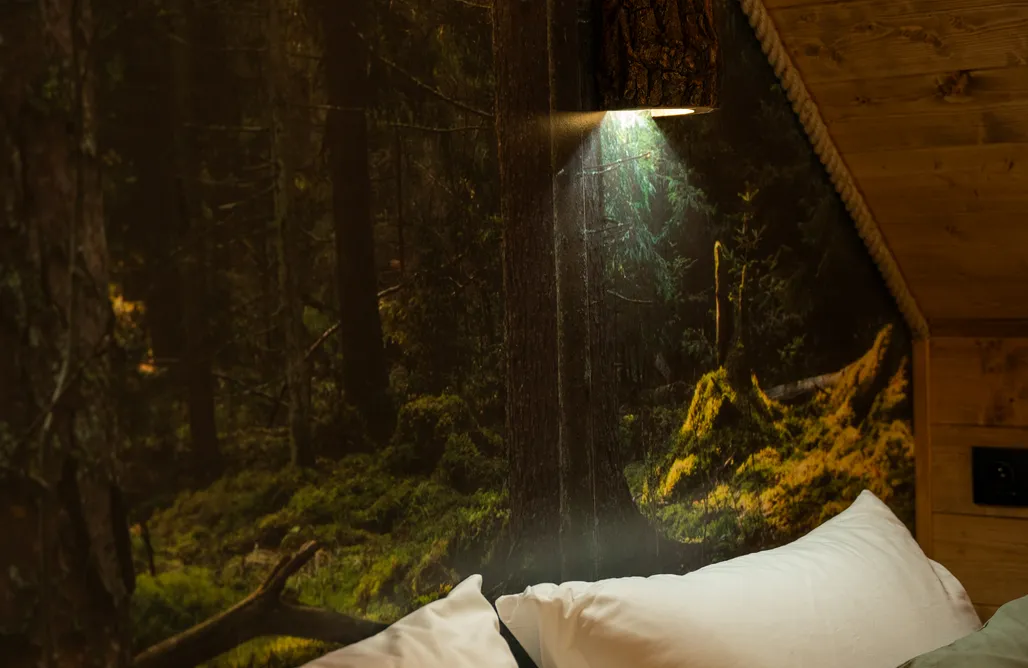 AlohaCamp Dzika Sosna 2