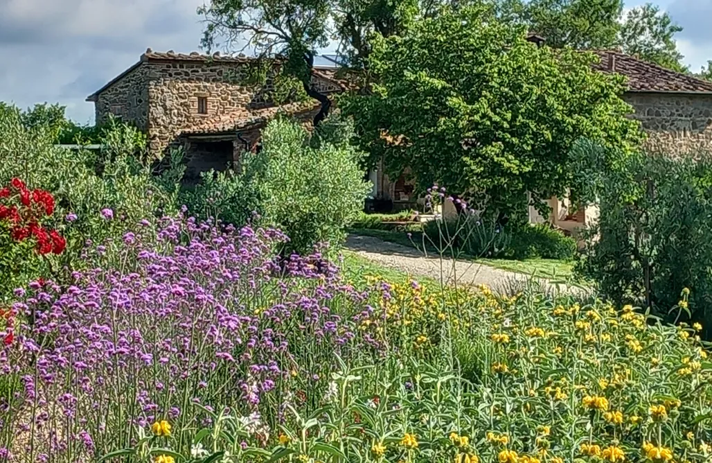 Hébergement AlohaCamp Maison écologique moderne et paisible dans les collines toscanes 5