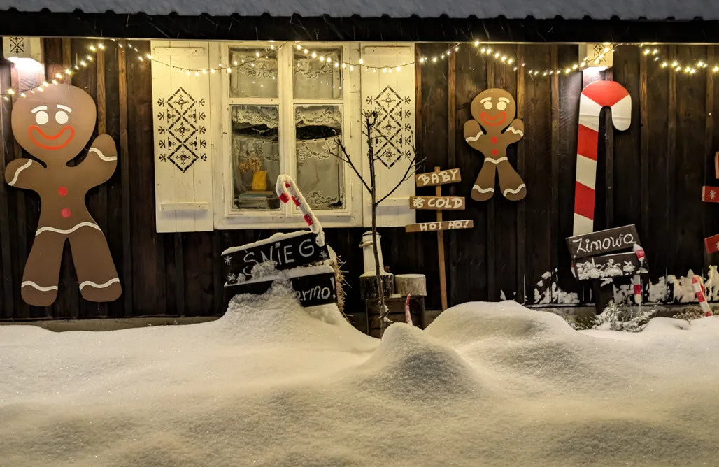 AlohaCamp Bojkówka Całoroczne Domki Wypoczynkowe w Bieszczadach  1