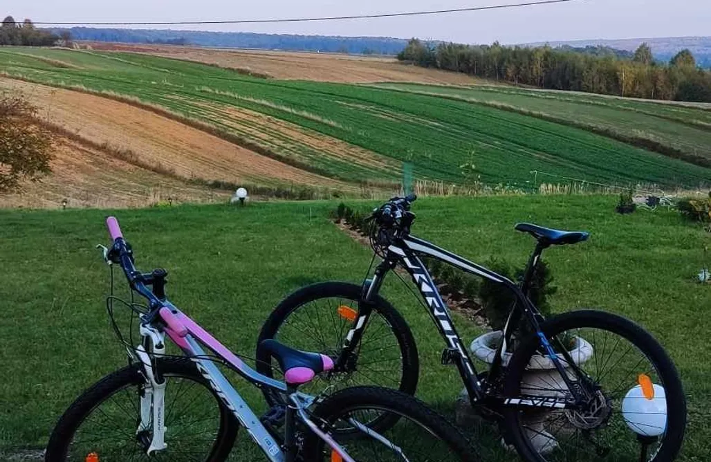 noclegi AlohaCamp Dworek Atrium 1