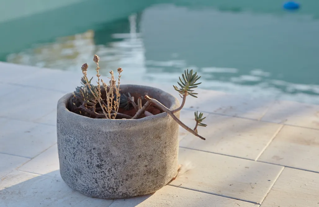 Alojamiento en Arcos de la Frontera Glamping Madreselva 1