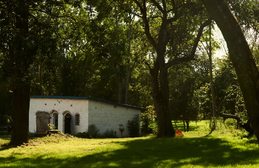 Zdjęcie obiektu Miejsce kamperowe - Pilwa 17 - Glamping na Mazurach