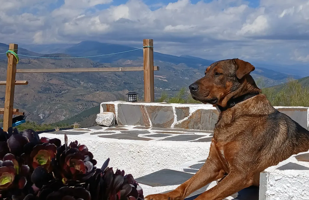Hoteles en Almería Cortijo LaVista 1