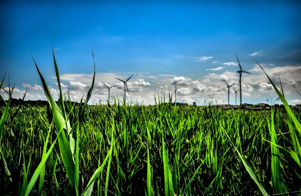 noclegi AlohaCamp Błękitny Kopań 5