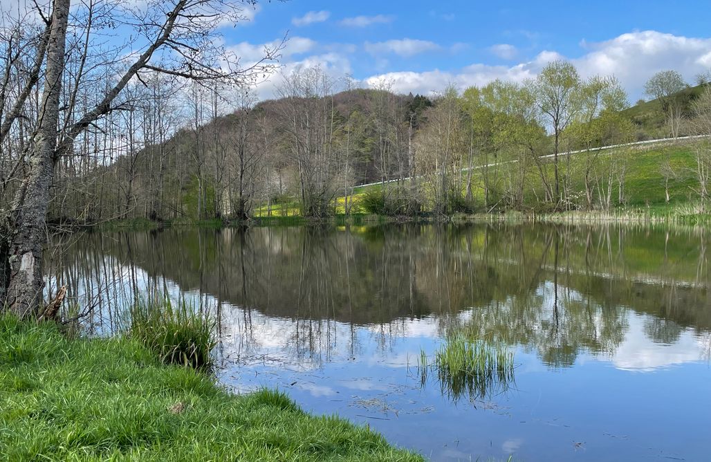 Unterkunft AlohaCamp room art lovers 4