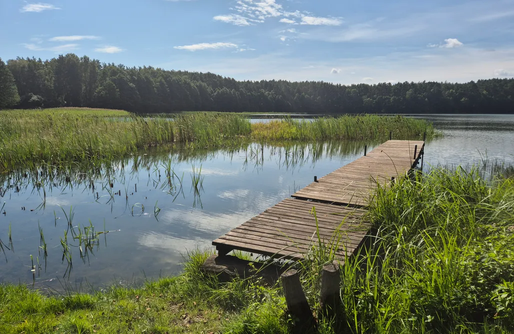 noclegi AlohaCamp Dom w lesie nad jeziorem Kaszuby - Gniazdo 5
