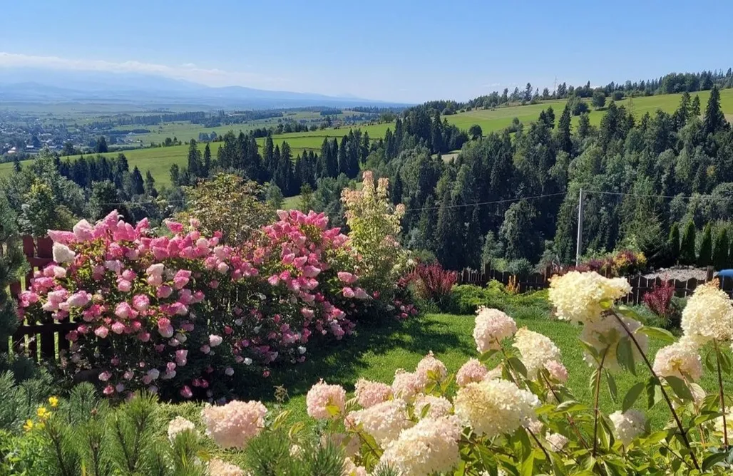 noclegi AlohaCamp Widokowa Chata 1