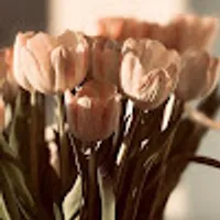 Marianne użytkownik