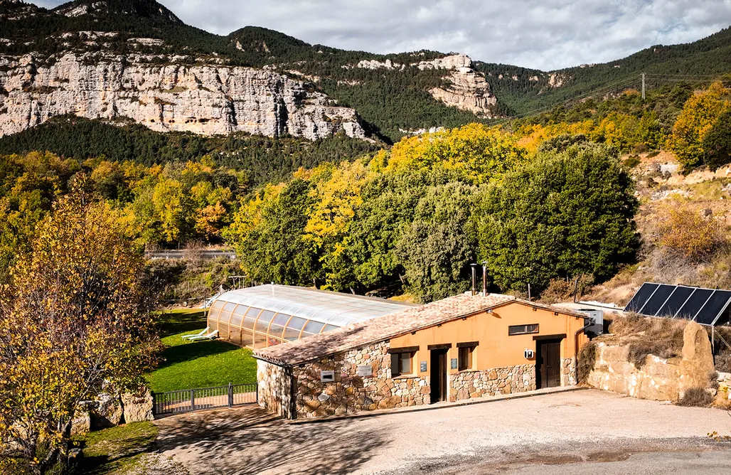 Majorka Last Minute Masia Grevoler 3