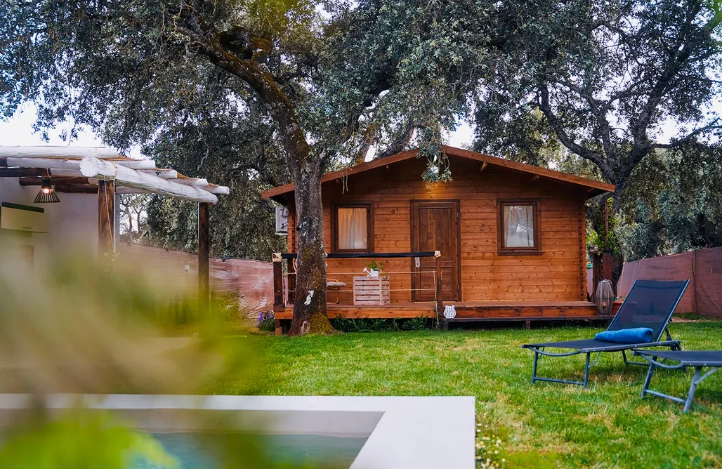 Alojamiento en Algodonales Cabaña Rural El Arbol 2