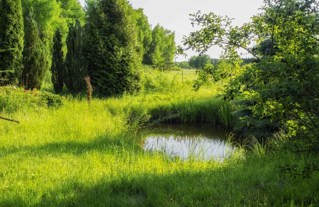 noclegi AlohaCamp Łosiedlisko 5