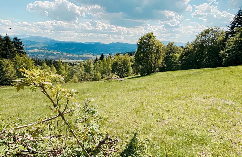 Domki Nad Jeziorem Żywieckim Chata z Kraja 1