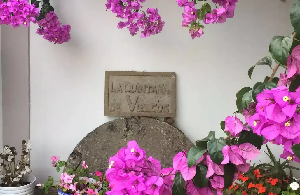 AlohaCamp La Quintana de Vielgos 1