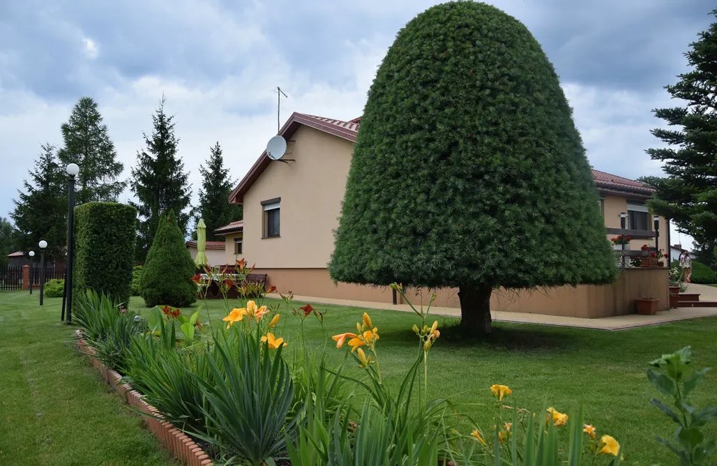AlohaCamp Samodzielny, całoroczny dom 3