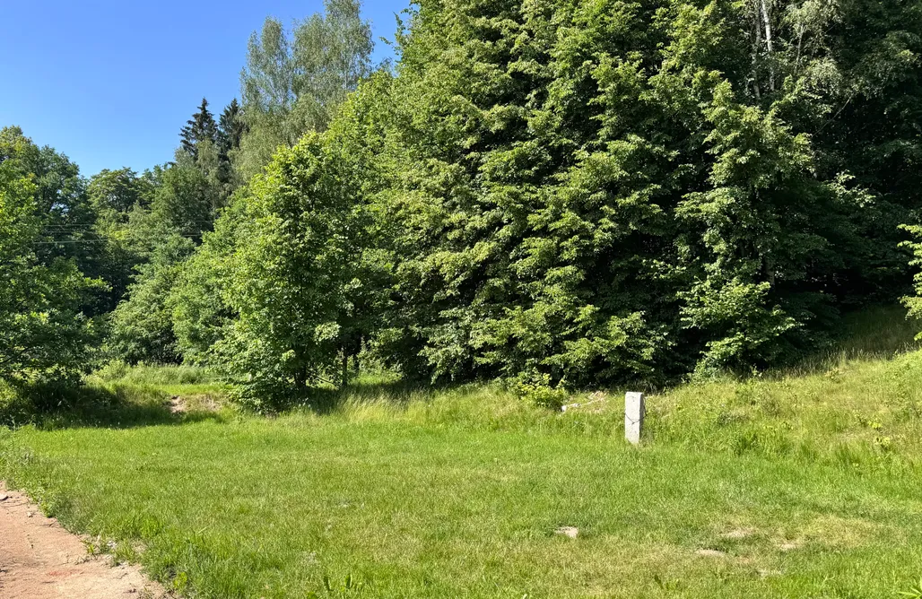 AlohaCamp F7; Miejsce na mniejszy kamper lub namioty z dostępem do prądu (Place for a smaller camper/caravan incl. electricity)  2