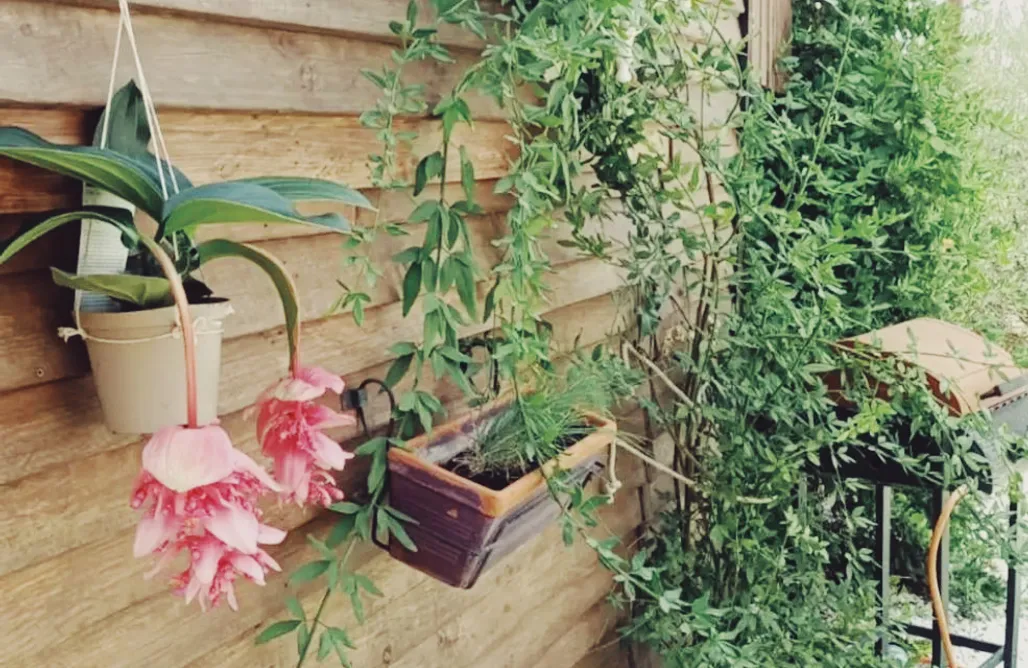 alojamientos AlohaCamp La casita de Sophia 4