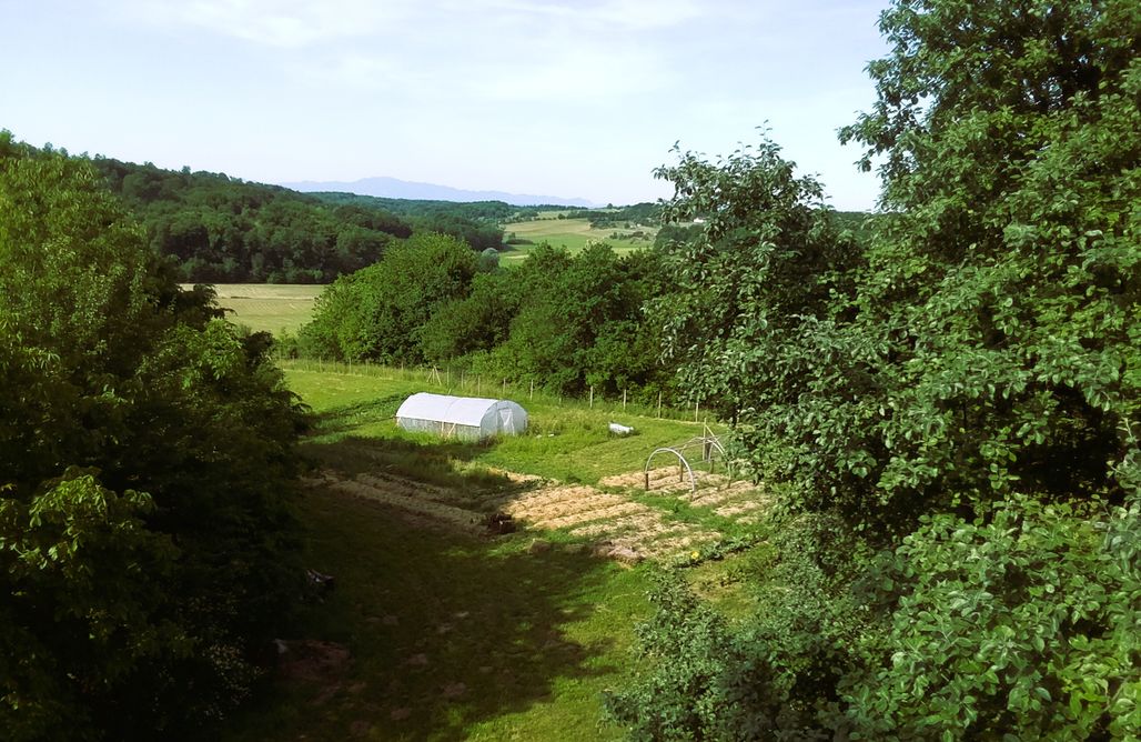 ubytovanie AlohaCamp Tweet apartments  5