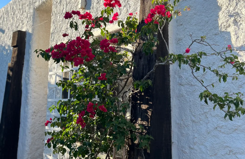 AlohaCamp accommodation Casa Sol - Campo Feliz 5