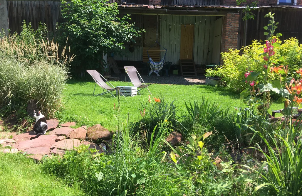 AlohaCamp accommodation Koko Ryku 5